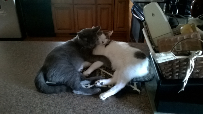 They’re ferocious
